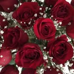 Joanne Martel - @joannemartel75 - Instagram