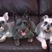 Joanne Mather - Facebook