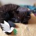 Joanne Mather - Facebook