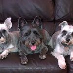 Joanne Mather - @jomather20 - Instagram