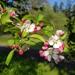 Joanne Mather - @joanne.mather1959 - Instagram