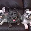 jojo - @joannemather4 - TikTok