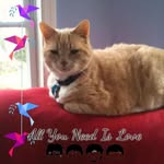 JoAnn Mazza - @mazza.joann - Instagram