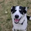 Joann Mazza - @joann.mazza - TikTok