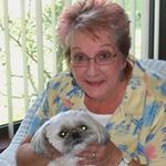 Joann Mazza - @joann_mazza - Instagram