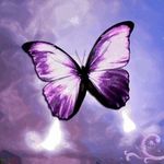 Joann Mazza Comfort - @joysi425c - Instagram