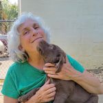 JoAnn McDade - @joann.mcdade.55 - Instagram
