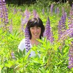 Joanne McDade - @jomcdade62 - Instagram