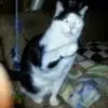 joannemchale1 - @joannemchale1 - TikTok
