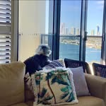 Joanne McKinnon - @joanne.mckinnon.5 - Instagram