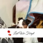 Joanne McLeod - @joannemcleod7 - Instagram