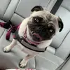 joannemcleod858 - @joannemcleod858 - TikTok