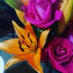 JoAnn Merrick - @jamerrick2000 - Instagram