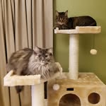 Joann Stetler-Messick - @jesmess73 - Instagram