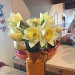Joanne Michael - @joanne.michael.12 - Instagram