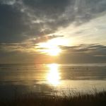 Joanne Millard - @joanne.millard.96 - Instagram