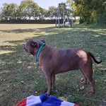 Joanne Moorman - @jomoorman - Instagram
