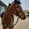Joanne Morrow336 - @joannemorrow336 - TikTok