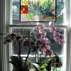 Joanne Mulhern Smyth - @joanne.mulhern.sm - TikTok