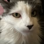 Joanne Sipes Mulhearn - @dbumper123 - Instagram