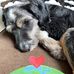 Johanne Couture Munn - Facebook