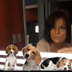 Joann Nagle - @mecomjoann - Instagram