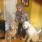 JoAnn Nagle - @mj_nagle - Instagram