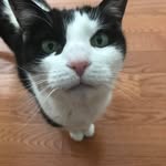 Joanne Nagle - @joanne.nagle.714 - Instagram