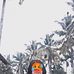 Naldi Jo - Facebook