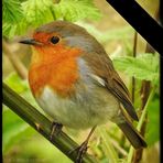 Joan Needham - Facebook