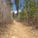 JoAnne Neely - @windingtrailwellness - Instagram