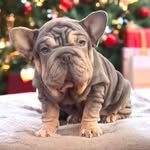 Joanne North - @joanne.north.5 - Instagram