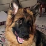 Joanne Norton - @norton210 - Instagram