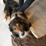 Joanne Norton - @joannenorton525 - Instagram