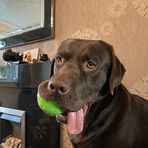 Joanne Nuttall - Facebook