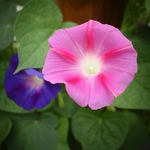Joanne Ott - @joanne.ott57 - Instagram