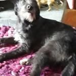 Joanne Scott - @joanne.scott.5661 - Instagram