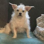 JoAnne Ottoson - @joanneottoson - Instagram
