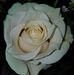 Joanne Otto - Facebook