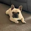 Joanne O’Bree - @joanne.obree - TikTok