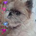 Joann Padgett - Facebook