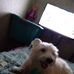 Joanne Padgett - Facebook
