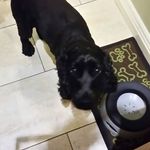 Joanne Peacey - @joanne.peacey.56 - Instagram
