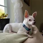 Joanne Gough Perry - @joanneperry6504 - Instagram