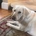 Joanne Perry - Facebook