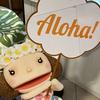 🌺 Joanne Pham 🌸 ALOHA 🤙 - @joannetv - TikTok