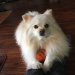 Joanne Pham - @limei.pham - Instagram