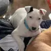 Joanne Pickett - @joanne.pickett2 - TikTok