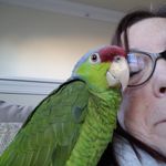 Joanne Plunkett - @plunkett.joanne - Instagram