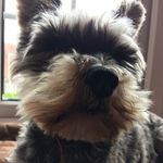 Joanne Plunkett - @joanne_plunkett - Instagram